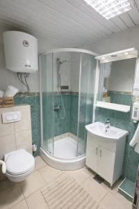 a bathroom with a shower and a toilet and a sink at Sea View Apartment Rafailovići in Rafailovici