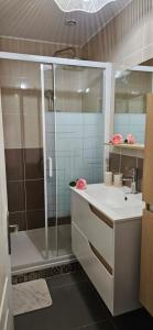 a bathroom with a shower and a white sink at Appartement près des Grands Buffets climatisé in Narbonne