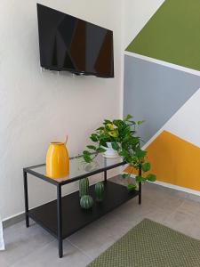 a living room with a tv and a table with plants at Casa RAFFAELLO in Vigevano