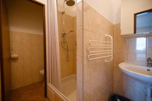 a bathroom with a shower and a sink at Apartmány Dřevařská Benecko in Benecko