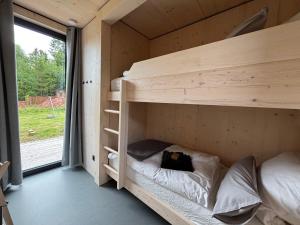 a bunk bed in a wooden room with a window at Chalet WaldZeit in Weiskirchen