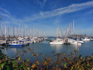 a bunch of boats docked in a harbor at Coastal Apartment in Malahide