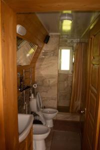 a bathroom with two toilets and a sink and a shower at Sadyba Lileya in Verkhovyna +44 photos