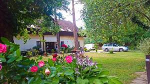 a house with pink roses in the yard at Penzion U kostela Mláka in Mláka