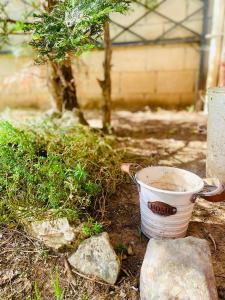 a bucket sitting on the ground next to some rocks at Triangle Park Apartments A2 in Kozani