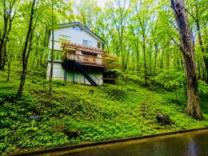 a house in the middle of a forest at チェックアウトは11時コテージそら豆ん家 in Nasu