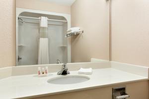 a bathroom with a sink and a mirror at Days Inn & Suites by Wyndham Winkler in Winkler
