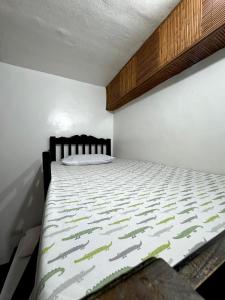 a bedroom with a bed in a white room at Villaroman Inn in Baler