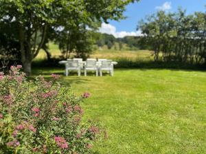 a group of white chairs sitting in a field at Haqvins stuga in Förslöv