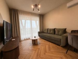 a living room with a couch and a table at COSMO Premium Park Chorzów, Parking, f-VAT klimatyzacja in Chorzów