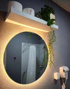 a mirror on a wall with a shelf and plants at Apartmani Una Igalo in Igalo +24 photos
