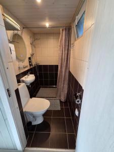 a small bathroom with a toilet and a sink at Eero Majutus in Kärdla