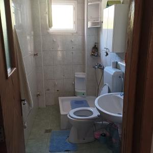 a small bathroom with a toilet and a sink at Refugiul din Cozieni in Cozieni