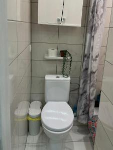a bathroom with a toilet with a plant on top of it at Studio between two stations in Šiauliai