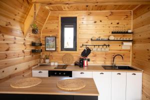 a kitchen in a log cabin with a sink at Hedwig cottages 2 in Žabljak
