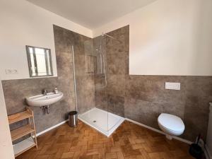 a bathroom with a shower and a toilet and a sink at Quartier Alte Werkstatt in Thale +14 photos