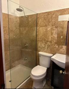 a bathroom with a toilet and a shower and a sink at Casa Luna Royale in San Juan +17 photos