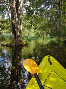 a yellow kayak in the water next to a river at Dom nad Szelmentem in Przejma Wysoka