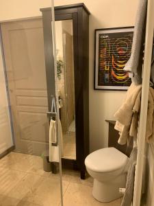 a bathroom with a toilet and a shower at La Petite Quinotte in Cadillac +4 photos