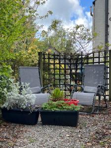 two chairs and plants in a yard with a fence at The Ship Inn's Cabin in Gatehouse of Fleet