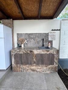 an outdoor kitchen with a sink and a counter at Fir Tree Villa in Chişinău +22 photos
