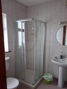 a bathroom with a shower and a toilet and a sink at Teach Caitlin in Ballina