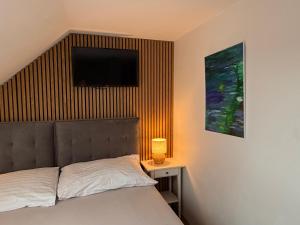 a bedroom with a bed and a television on the wall at Slavia penzion in Mikulov