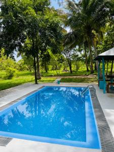 a blue swimming pool with a gazebo and trees at Eco Tree House Yala in Tissamaharama