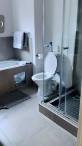 a bathroom with a toilet and a glass shower at The Fig Central Apartments in Gaborone +13 photos