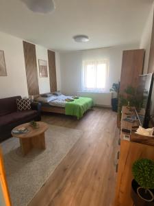 a living room with a couch and a bed at Andalics apartment in Kaposvár