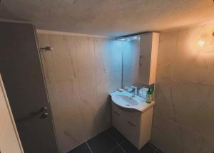 a small bathroom with a sink and a shower at Greek Hacienda in Nea Kallikrateia