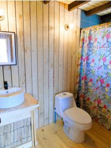 a bathroom with a toilet and a sink at Casa Luna in Maitencillo