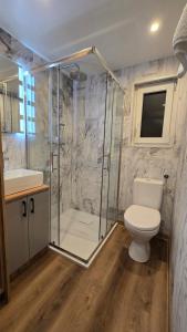 a bathroom with a shower and a toilet and a sink at Pod Wiatrakiem in Warta