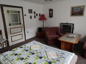 a living room with a bed and a table at Chalupa Na Křemence in Třinec