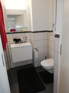 a bathroom with a toilet and a cat sitting on a sink at Gästezimmer in einen Einfamilienhaus in Rudolfstetten