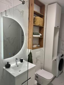 a bathroom with a sink and a toilet and a mirror at Apartman 15 in Novi Sad +17 photos