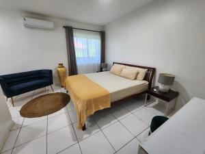 ein Schlafzimmer mit einem Bett, einem Stuhl und einem Fenster in der Unterkunft Aurelia in Paramaribo