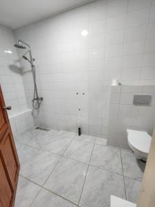 ein Badezimmer mit Dusche und Toilette in der Unterkunft Aurelia in Paramaribo