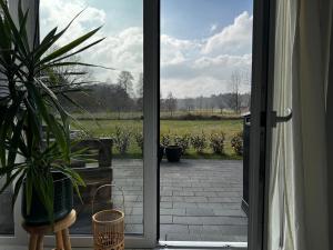 an open door to a patio with a potted plant at Gemütliche Wohnung mit Terrasse im Grünen in Bienenbüttel +2 photos