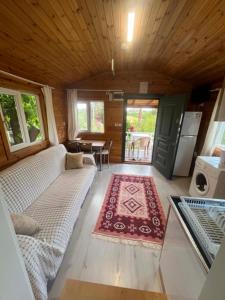 a living room with a couch and a rug at Naz Apartlari Cirali in Cıralı