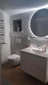 a bathroom with a sink and a toilet and a mirror at Apartament DobraNocka in Ściegny +9 photos