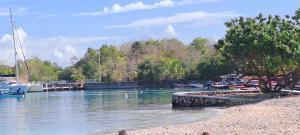 a river with boats and a bird in the water at By The Bay 2plus2 in Oracabessa