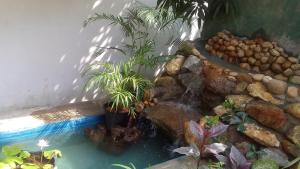 a artificial pond with plants and a waterfall at Hansa Villa in Unawatuna