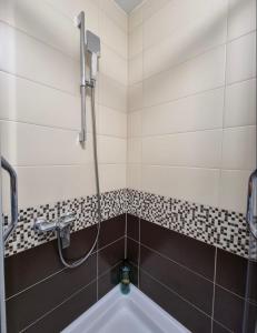 a bathroom with a bath tub with a shower at Apartman Avram in Kotor-Varoš +18 photos