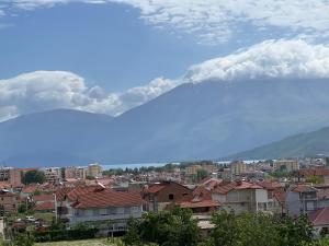 a view of a city with a mountain in the background at Cozy Pogradec in Pogradec
