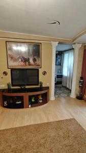 a large living room with a flat screen tv at Spacious apartment on Otakar Yarosh in Kharkiv
