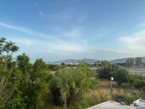 a view of a field with trees and mountains at ZOGRAFOS 2 in Haraki