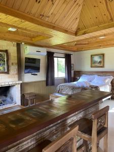 a bedroom with a bed and a fireplace at Pousada Trinca Ferro in Bom Retiro