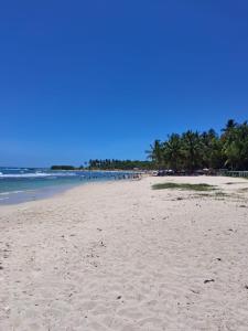 a sandy beach with palm trees and the ocean at Villa Lya in Juan Dolio