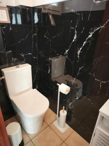 a bathroom with a toilet and a black marble wall at Berges de la Suippe in Warmeriville +15 photos